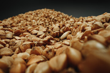 Macro photo of handful dry buckwheat grain