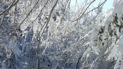 paesaggio innevato
