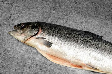 Raw fresh organic salmon fish on a dark stone table top view, close up, seabass preparing for cooking, copy space