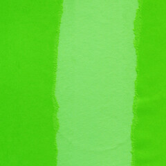 Fototapeta premium Green torn paper collage close-up. Texture made from various paper and cardboard parts. Damaged old paper background. Vintage blank wallpaper. Material design backdrop.