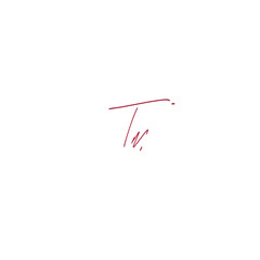 TN initial handwriting logo for identity