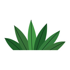 plant leaves foliage cartoon icon in isolated style