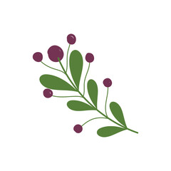 branch leaves berries nature cartoon icon in isolated style