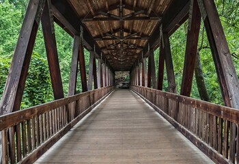 The Wooden Bridge