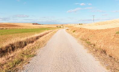 summer landscape with a dirt road next to Terradillos de los Templarios village, municipality of...
