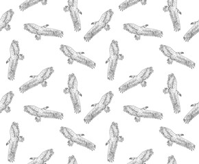 Vector seamless pattern of hand drawn doodle sketch flying griffon vulture bird isolated on white background