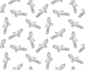 Vector seamless pattern of hand drawn doodle sketch flying griffon vulture bird isolated on white background