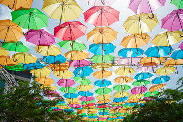 Fototapeta premium umbrellas on the beach