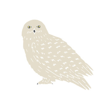Vector hand drawn doodle sketch polar snowy owl isolated on white background