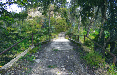 Puente en un camino del campo rodeado de naturaleza