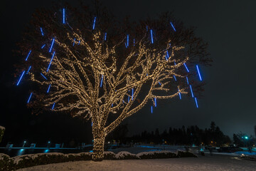 Christmas Illumination, Coeur d'Alene, Idaho