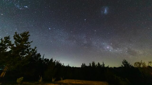 The stars moving around the night in an amazing dark sky inside an idyllic forest at Chile. We can see the Earth rotation in this timelapse view at an idyllic natural scenery