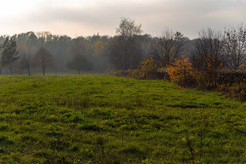 Obraz premium beautiful autumn landscape at sunset overlooking the field and trees