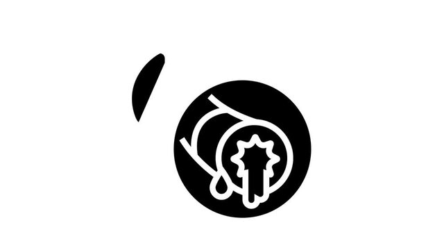 bronchiectasis respiratory disease animated glyph icon. bronchiectasis respiratory disease sign. isolated on white background