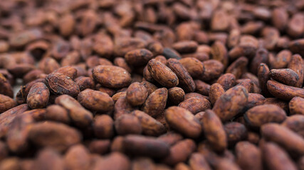 cocoa beans