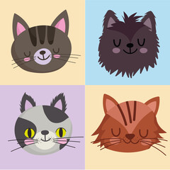 pets icons set cats feline mascot animal, faces on color design