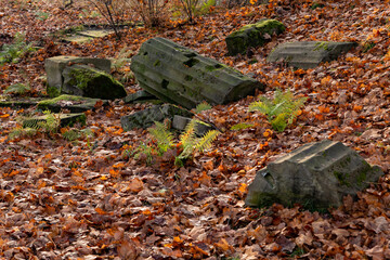destroyed columns between fallen yellow leaves in autumn