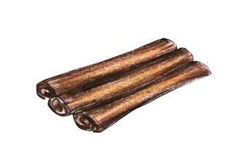 cinnamon sticks drawing watercolor pencils, isolate on a white background