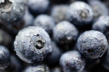 Background of fresh blueberries with water drops ready to be eaten. 