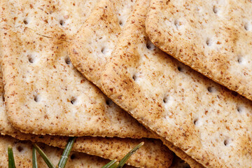 delicious wheat flour cookies and chocolate drops inside the prepared shortbread dough, homemade cookies of irregular round or oval shape, closeup