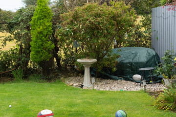 garden in the garden