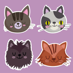 pets icons set cats feline mascot animal, faces animals cartoon