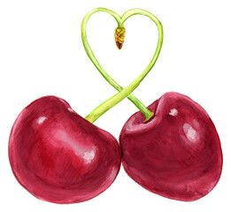 Love Stem Cherries Watercolor Illustration