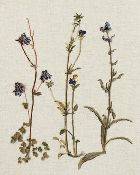 Couture embroidery of flowers. Still life by Durer with columbine, violets and bugloss