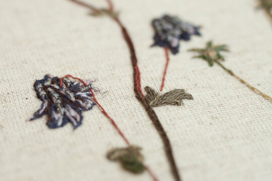 Couture embroidery of flowers. Still life by Durer with columbine, violets and bugloss