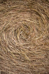 Close up of bale of hay