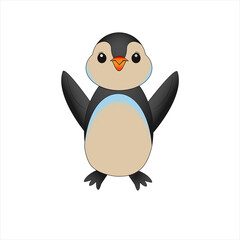 baby penguin