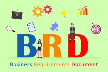 Business Requirement Document BRD 2D flat vector concept for banner, website, illustration, landing page, flyer, etc