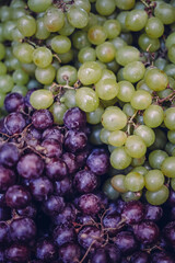 purple and green grapes on the market