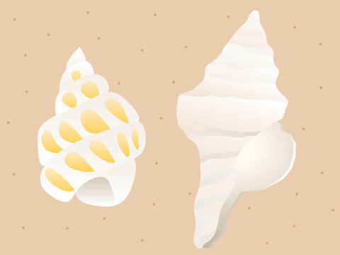 3 021 Best 巻貝 Images Stock Photos Vectors Adobe Stock