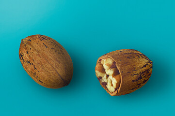 nueces