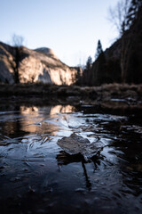 reflection in the water