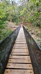 Tropical Costa Rica Hanging Bridges