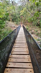 Fototapeta premium Tropical Costa Rica Hanging Bridges