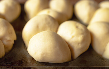 Fototapeta na wymiar Clover Leaf dinner roll dough raises in muffin tins. Close up view.