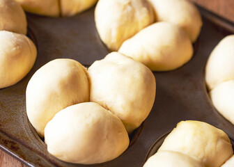Fototapeta na wymiar Clover Leaf dinner roll dough raises in muffin tins. Close up view.