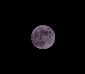 Purple Moon