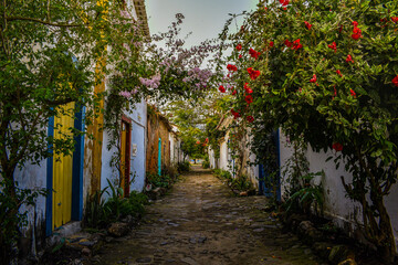 alley in the park