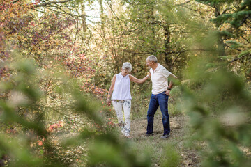 Fototapeta premium Senior couple in love and very happy enjoying a walk in the field at sunset