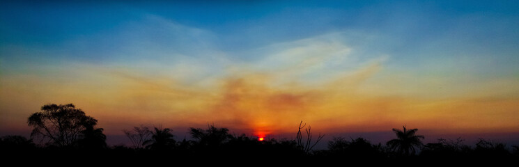 sunset in the forest