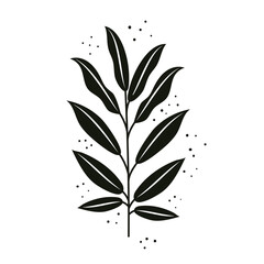 tropical branch with black leafs nature icon vector illustration design