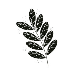 branch with black leafs plant nature icon vector illustration design