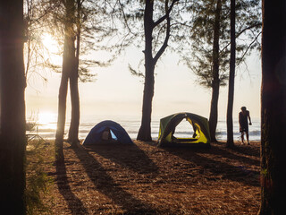 Camping tents on the beach filled of pine forest with golden sky sunrise in the morning. At Hat Wanakon National Park, Prachuap Khiri Khan, Thailand.