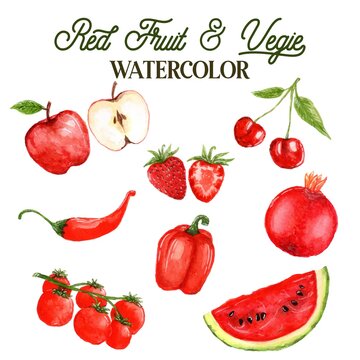 Red Fruit and Vegatable Watercolor illustration