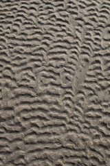 abstract tracks in sand