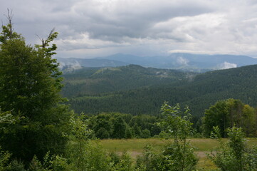 These are the slopes of the Carpathians, covered with forests.